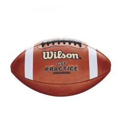 Wilson 1003 GST Leather Practice Football