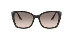Prada SPR12X 04B5J2 Havana/Light Brown Sunglasses