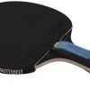Butterfly Dimitrij Ovtcharov Sapphire Table Tennis Bat -Sports - ball games 85222 Butterfly DO Sapphire detail 3