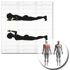 Schildkrot 960001 Wrist And Ankle Weights -Sports - ball games 960001 Gewichtsmanschette 05kg Piktogramm 1