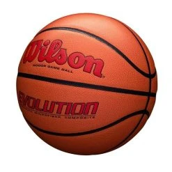 Wilson Evolution Game Ball - Scarlet