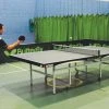 Butterfly Space Saver 25 Rollaway Indoor Table Tennis Table