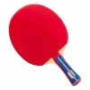 Gewo Standard League Table Tennis Bat -Sports - ball games g Gewo Standard League Bat